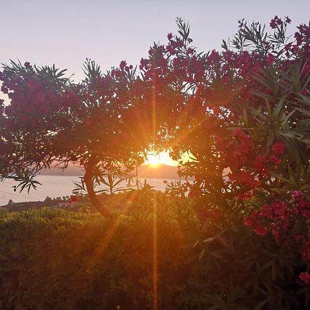La Casa Sul Tramonto - Capoliveri - Services Included Экстерьер фото